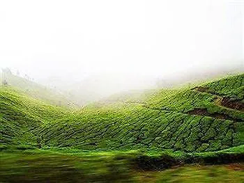 Camp Noel Hotel Munnar 4*,