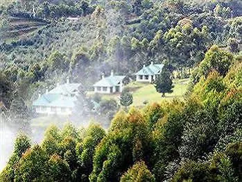 Camp Noel Hotel Munnar
